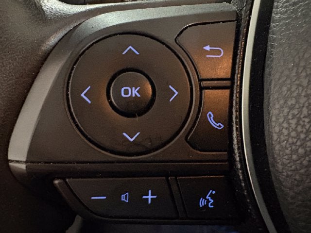 2019 Toyota RAV4 Adventure