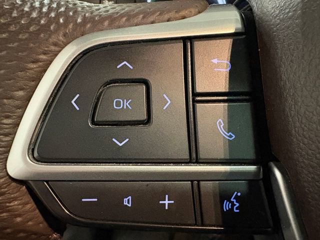 2024 Toyota Sienna Platinum 7 Passenger