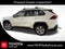 2019 Toyota RAV4 Hybrid Limited